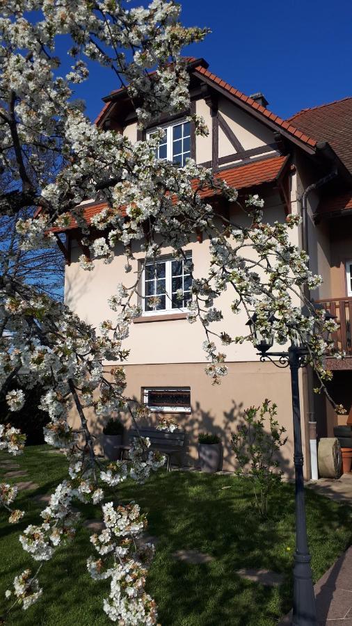 Gite "Le Platane" 45 M2 - Climatise Monswiller Dış mekan fotoğraf