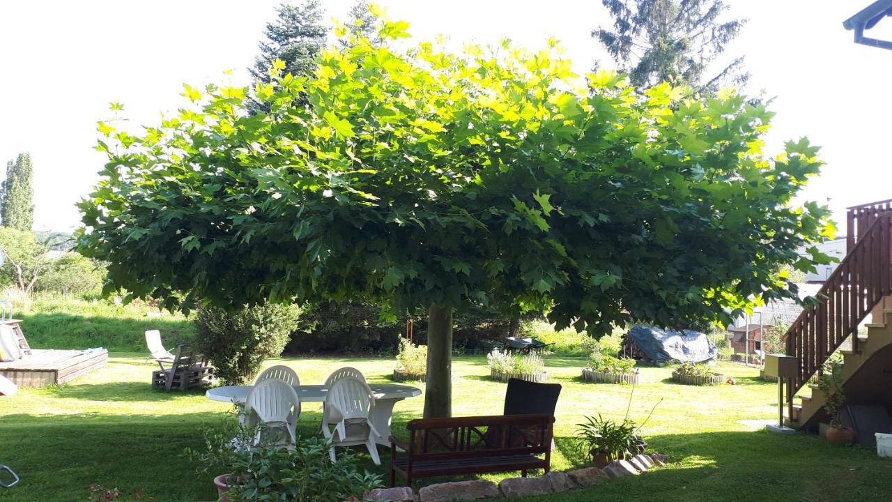 Gite "Le Platane" 45 M2 - Climatise Monswiller Dış mekan fotoğraf