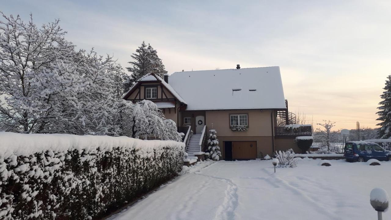 Gite "Le Platane" 45 M2 - Climatise Monswiller Dış mekan fotoğraf