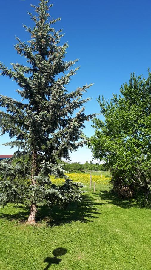 Gite "Le Platane" 45 M2 - Climatise Monswiller Dış mekan fotoğraf