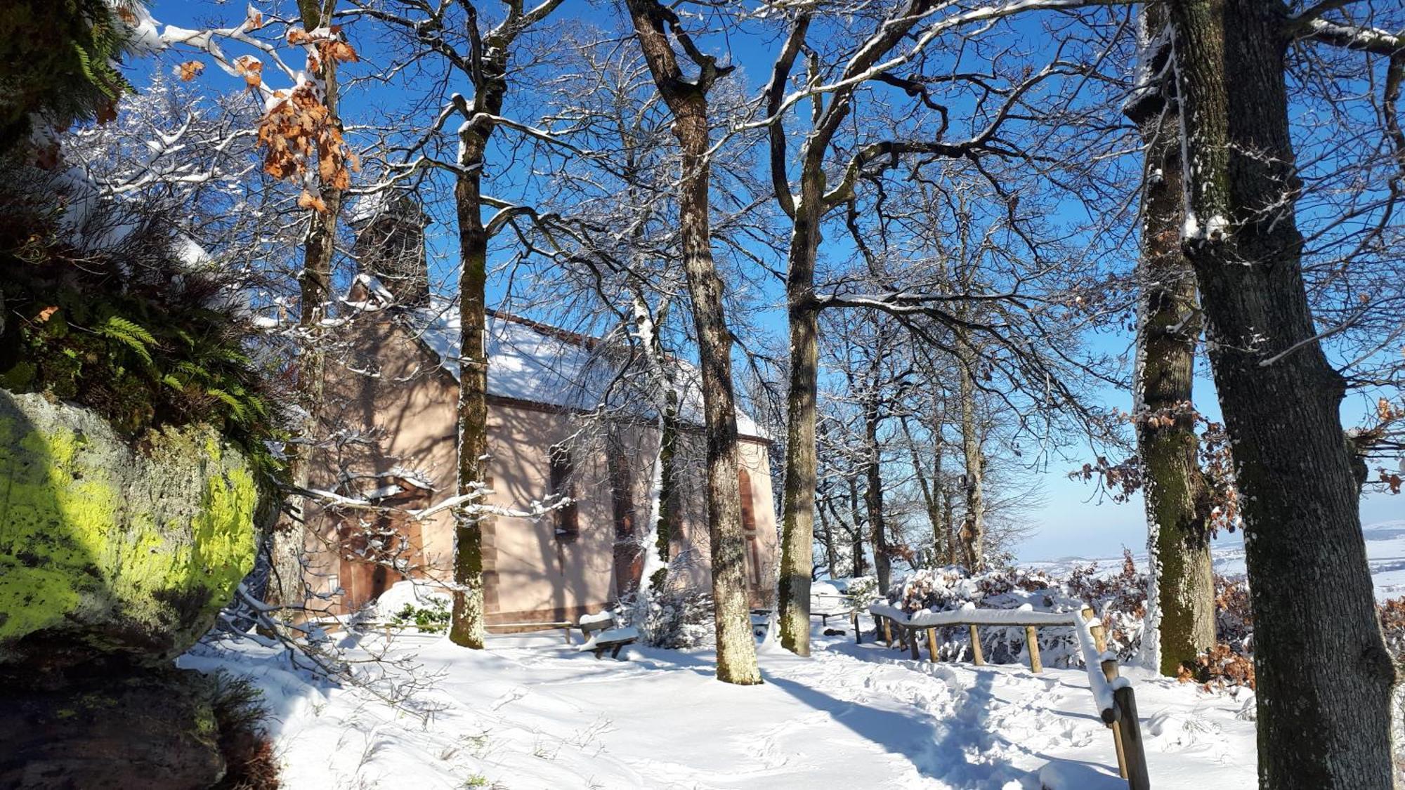 Gite "Le Platane" 45 M2 - Climatise Monswiller Dış mekan fotoğraf